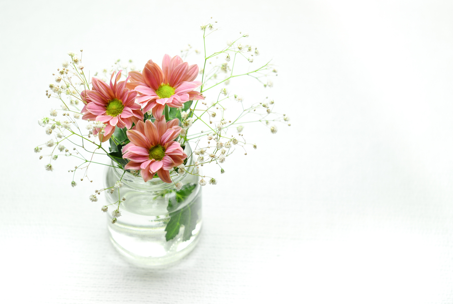 Beautiful Flowers on Vase